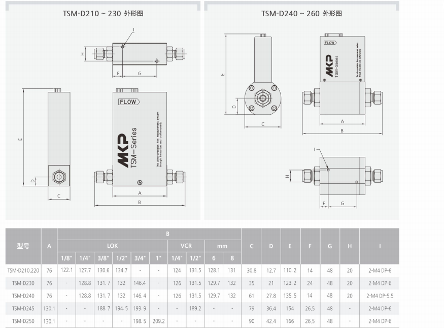 TSM-D250質(zhì)量流量計(jì)產(chǎn)品外形圖和參數(shù).png
